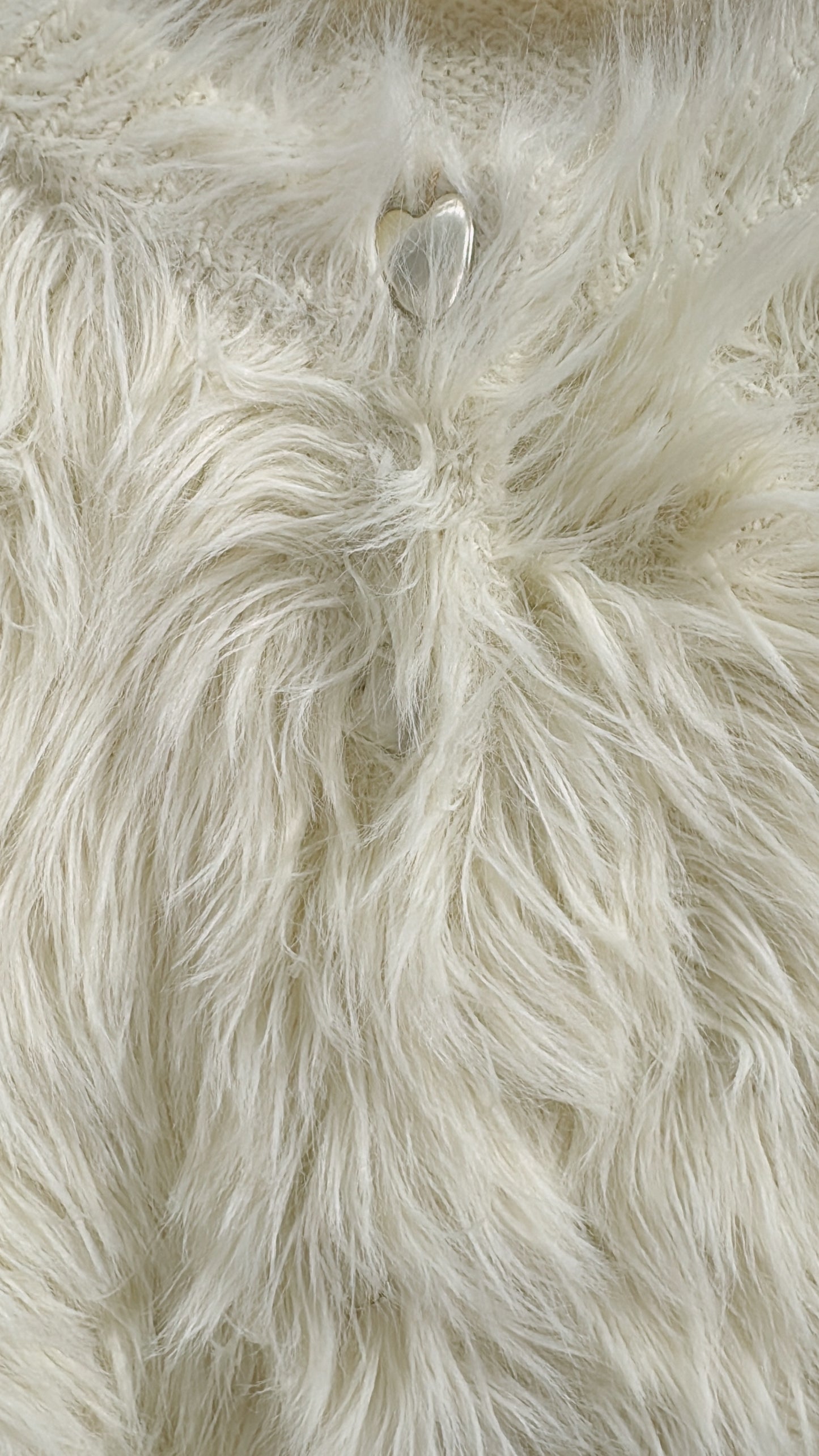 [ 預訂/現貨 📷 ༘ ⋆｡ ˚ ] Daily fluffy outer / 4 colors