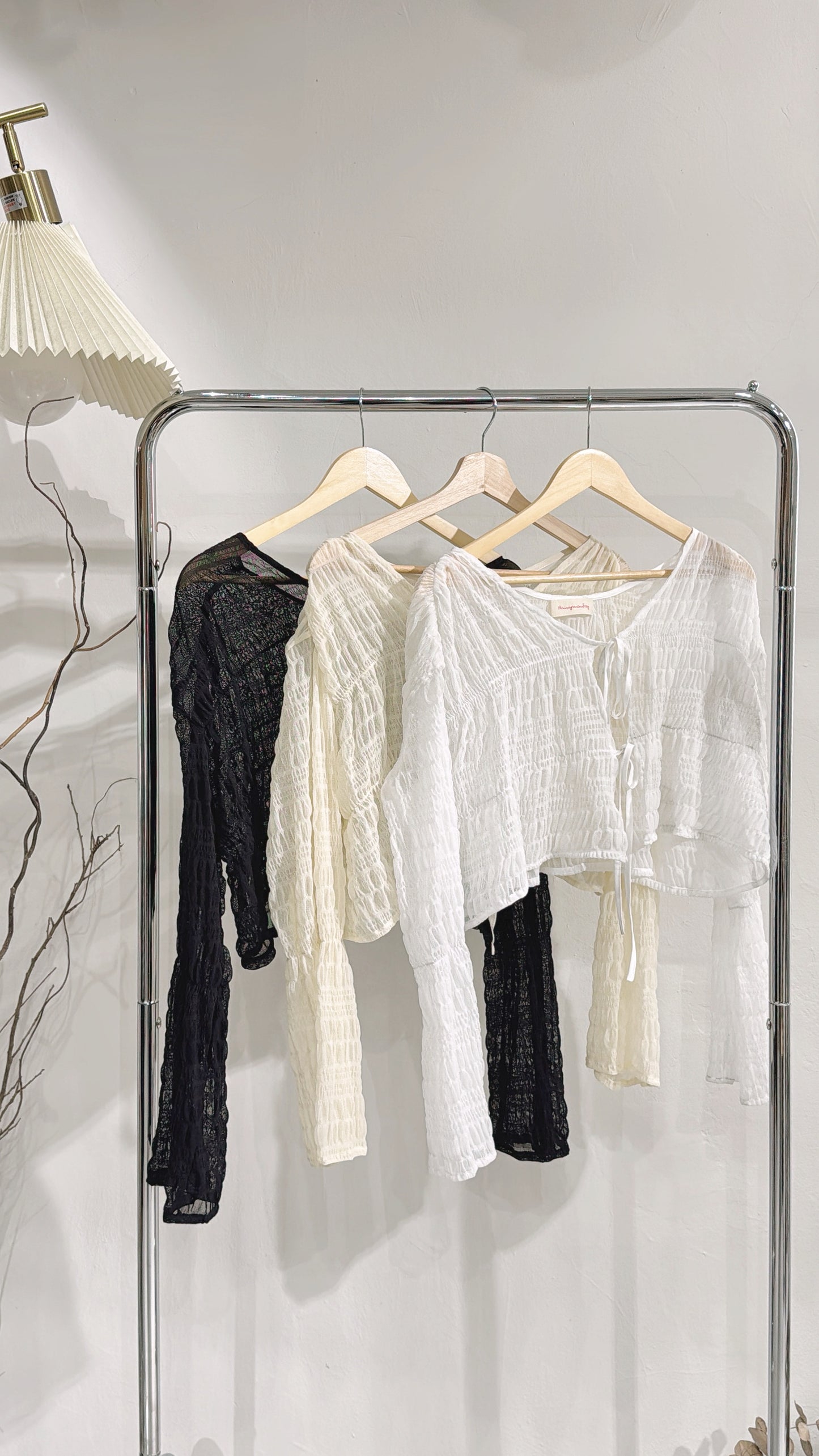 [ 現貨/預訂𐙚⋆˚ ] [ 本期最愛！] emmy see through outer / 3 colors